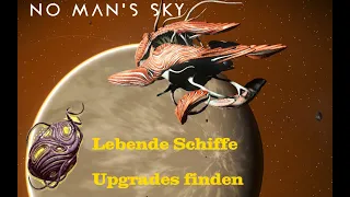 LEBENDE SCHIFFE - UPGRADES FINDEN- NO MANS SKY