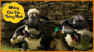 Những Chú Cừu Thông Minh 🐑 Cừu nghịch ngợm Phim hoạt hình sử thi đầy đủ Tập đầy đủ
