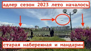 АДЛЕР СЕЗОН 2023 ВЕСНА / БАЗА РЫБАКОВ / НАБЕРЕЖНАЯ МАНДАРИН