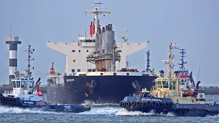 CRUDE OIL TANKER "MONTE ULIA" LEAVES ROTTERDAM PORT + MORE BIG SHIPS - 4K SHIPSPOTTING NOVEMBER 2022