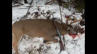 Tracking a 274lb Maine buck