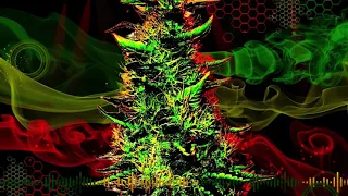 Ragga Jungle- DnB Mix, Rastafari Roots Vol. 15 (mixed by King Wuppi) 28.02.2020