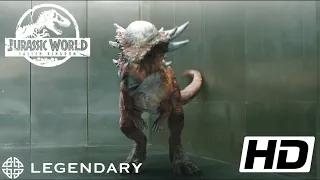 Jurassic world Fallen kingdom (2018) FULL HD 1080p - Stygimoloch room scene Legendary movie clips