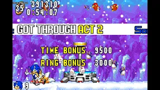 Sonic Advance (Sonic) - Theory Speedrun