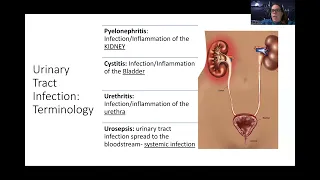 Adult Med/Surg: Urinary Tract Infection NEW Lecture
