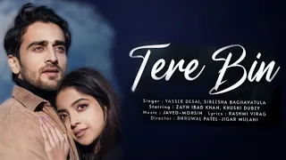 Tere Bin lyrics | Yasser Desai,Sireesha | Javed-Mohsin | Rashmi Virag | Zayn Ibad Khan,Khushi Dubey