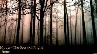 Myuu - Scent of Night | 1 HOUR