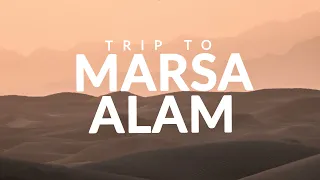 EGYPT 4K | Marsa Alam