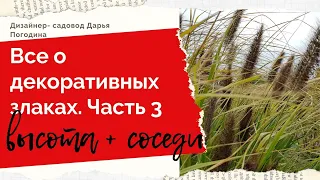 Все о злаковых травах. 3. Высота + идеальные соседи