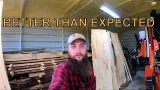 You Will Want To See This, Amazing Crotch Pine Log On The Sawmill