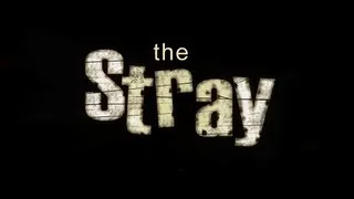 The Stray, Opening Sequence