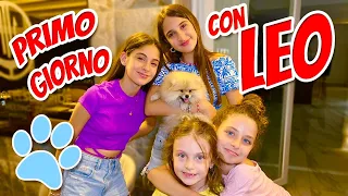 PRIMO GIORNO con LEO 🐾 •Vlog in Vacanza Day 16•