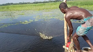 Best fishing in rainy day | Amazing traditional flood water fishing video