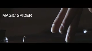 DJ Magic Spider