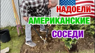 ДЖОН В ШОКЕ | СТОЛЬКО ПРОБЛЕМ | ЗАМУЖ ЗА АМЕРИКАНЦЕВ