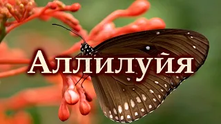 Аллилуйя - Сабиров, Сиринько, Пономаренко