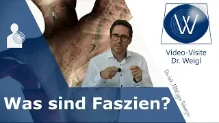 Jetzt ist die Zeit der Faszie ❗ Was sind Faszien & welche Aufgaben hat das Fasziengewebe? #1