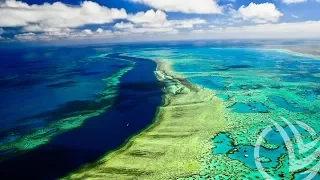 Большой Барьерный Риф - Great Barrier Reef