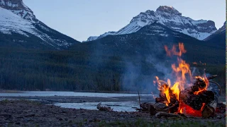 (Updated) Young Woman Gets Dragged While In Tent By Bigfoot...