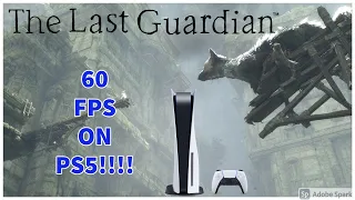 The Last Guardian is 60 FPS on PS5!!! - How to do it, and issues to avoid