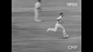 Bodyline test cricket series: 5th Test Don Bradman hit