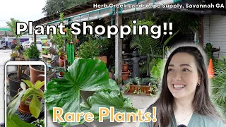RARE Plant Shopping!! | Herb Creek Landscape Supply - Savannah GA