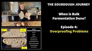 When is Bulk Fermentation Done? - Episode 4: “Overproofing Problems”