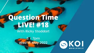 Koi Question Time LIVE #18