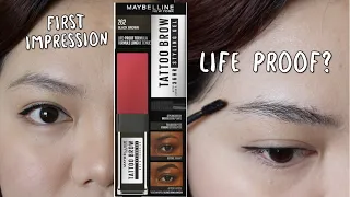 Maybelline Tattoo Brows 36hr Styling Gel First Impression Review