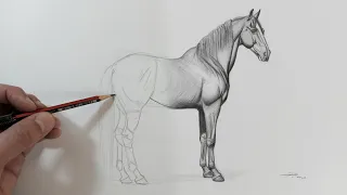 Cómo DIBUJAR un CABALLO PASO  a PASO? (Narrado)