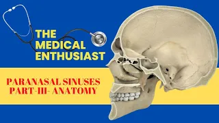 Paranasal Sinuses - Ethmoidal Sinuses -Anatomy