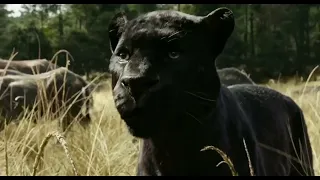 The Jungle Book Trailer - ჯუნგლების წიგნი