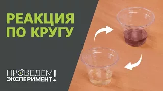 Реакция по кругу. Проведём эксперимент! №23