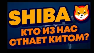 ВНИМАНИЕ, ВЛАДЕЛЬЦЫ ШИБА! КУПИТЕ СЕЙЧАС И СОХРАНИТЕ НА ПОТОМ... SHIBA INU -