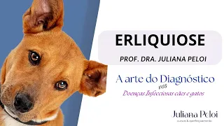 ERLIQUIOSE CANINA - A ARTE DO DIAGNÓSTICO NAS DOENÇAS INFECCIOSAS