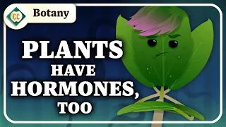Plant Cells & Hormones: Crash Course Botany #3
