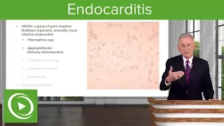 Endocarditis: Definition, Pathology, Classification & Diagnosis – Infectious Diseases | Lecturio