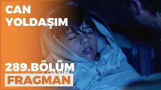 Can Yoldaşım 289. Bölüm Fragmanı - 15 Mayıs Pazar