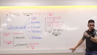 Direitos Individuais e Coletivos Art  5º CF - AULA 2021 - PT 02