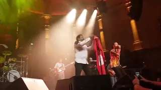 Khaled Didi Live Amsterdam 2019