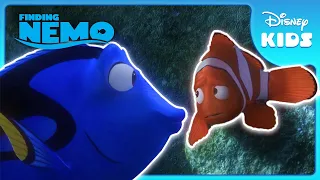 Just Keep Swimming | Finding Nemo | Disney Kids