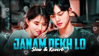 Janam Dekh lo - Main Yahaan Hoon - (slowed + reverb) [veer-zaara] | lofi with headphone