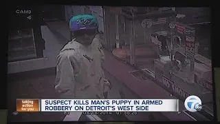 Suspect kills man's puppy in armed robbery on Detroit's west side