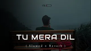 Tu Mera Dil-[Slowed+Reverb] - Falak | #viral