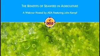 The Benefits of Seaweed in Agriculture