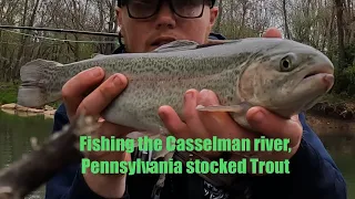 Trout fishing Casselman River, Pennsylvania, Catch and release Nice Rainbows landed!