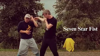 Shaolin Seven Star Fist  - Training and Application with Students | KungFu.Life Summer Retreat 2023
