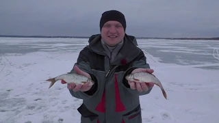 Нашли сорогу в Разнежье. Безмотылка. Советуем посмотреть.