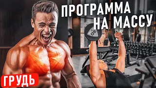 🔥ПРОГРАММА тренировок НА МАССУ в зале! ГРУДНЫЕ!