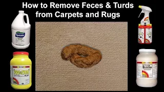 How to Professionally Remove Dog Poop, Feces and Turds on Carpets & Rugs - from  a Bane-Clene class.